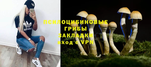 не бодяженный Алексин