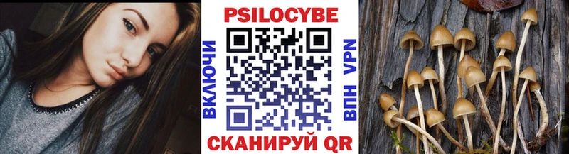 Псилоцибиновые грибы Psilocybe купить закладку Изобильный